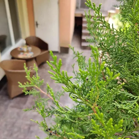 Apartment апартамент романтик